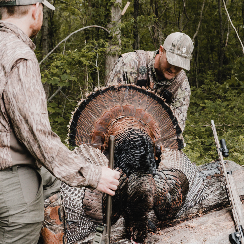 Grounded Brand Focused On The Pursuit